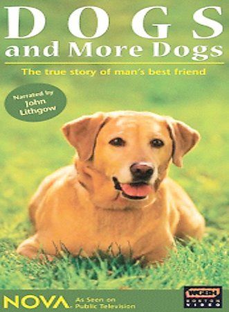 Dogs And More Dogs (DVD)