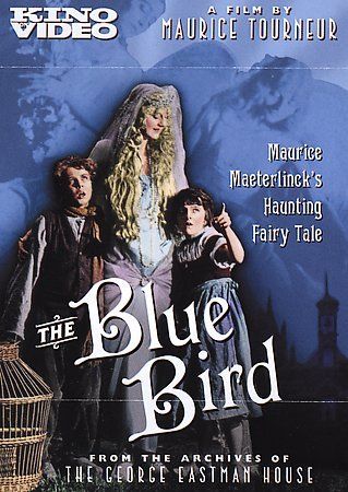 Blue Bird - (Region 1 Import DVD)