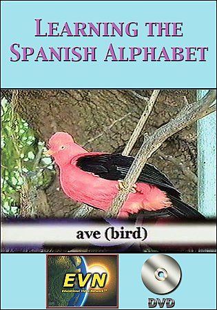 Learning the Spanish Alphabet - (Region 1 Import DVD)