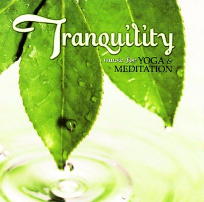 Various - Tranquility: Music For Yoga &amp; Meditat (CD)