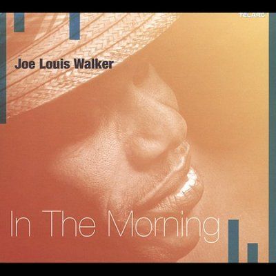 Joe Louis Walker - In The Morning (CD)