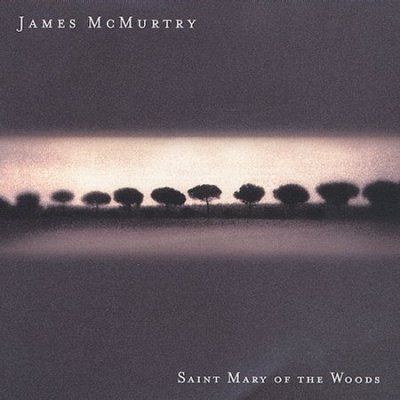 James Mcmurtry - Saint Mary Of The Wood (CD)