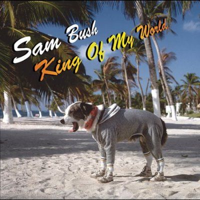 Sam Bush - King Of My World (CD)