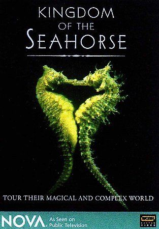 Kingdom Of The Seahorse (DVD)