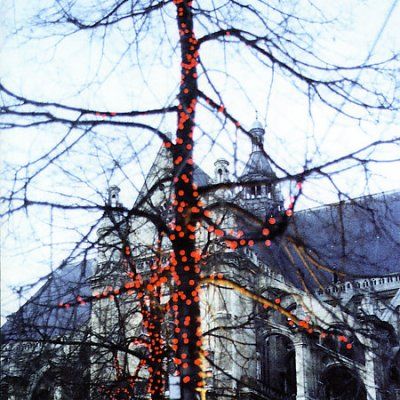 Adrian Crowley - When You Are Here You Are Family (CD)
