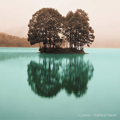N. Lannon - Chemical Friends (CD)