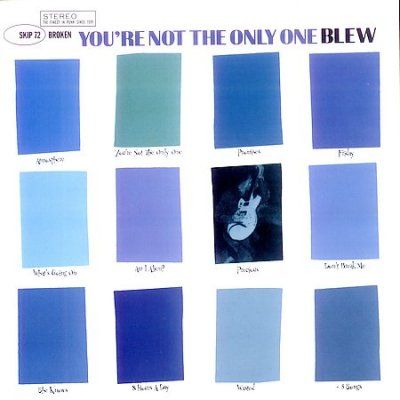 Blew - You're Not The Only One (CD)