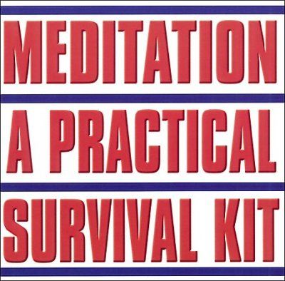 Allen Holmquist - Meditation A Practical Survival Kit (CD)