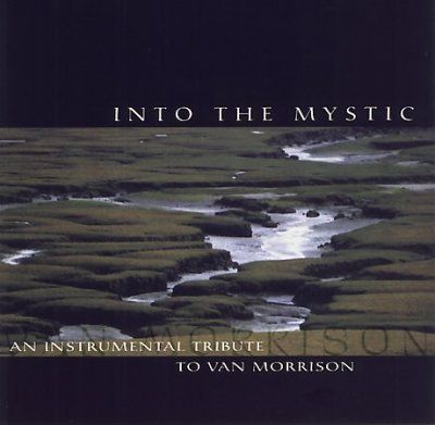 Various - Into The Mystic: Instrumental Tribute (CD)