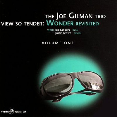 Joe Gilman - View So Tender: Wonder Revisited Vol 1 (CD)