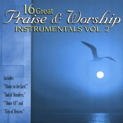 Various - 16 Great Praise &amp; Worship Instrume: V2 (CD)