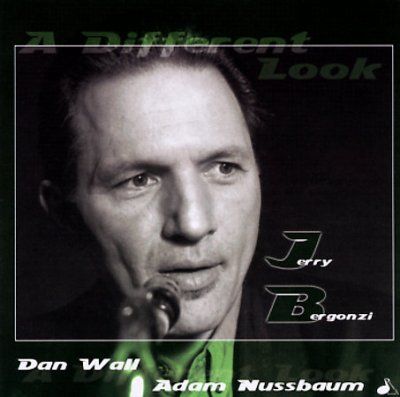 Jerry Bergonzi - Different Look (CD)