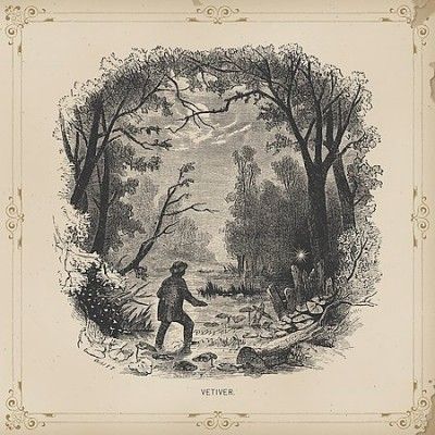 Vetiver - Vetiver (CD)