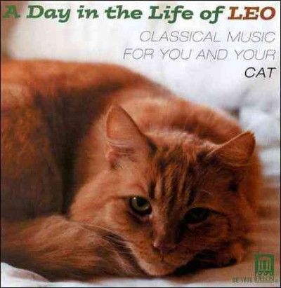 Various - Day In The Life Of Leo (CD)