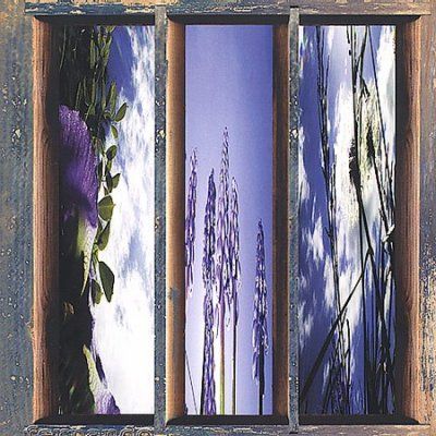 Fernando - Dreams Of The Sun And Sky (CD)