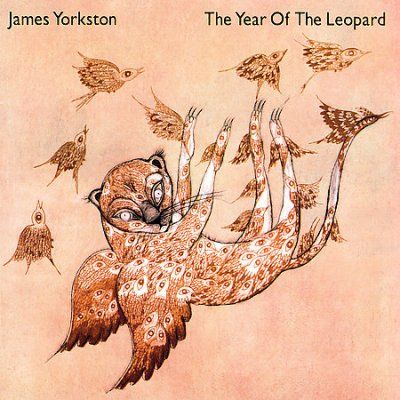 James Yorkston - Year Of The Leopard (CD)