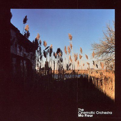 Cinematic Orchestra - Ma Fleur (CD)