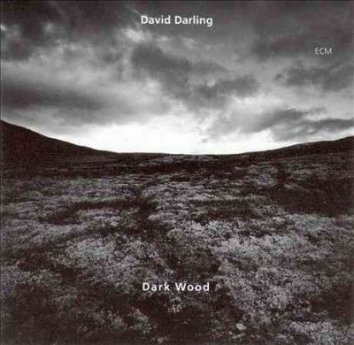 David Darling - Darkwood (CD)