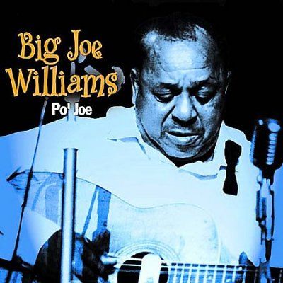 Big Joe Williams - Po Jo (CD)