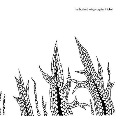 Bastard Wing - Crystal Thicket (CD)