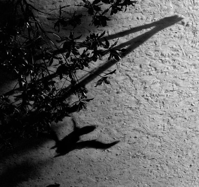Max Richter - The Blue Notebooks (CD)