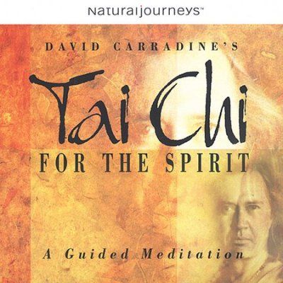 Various - Tai Chi For The Spirit (CD)
