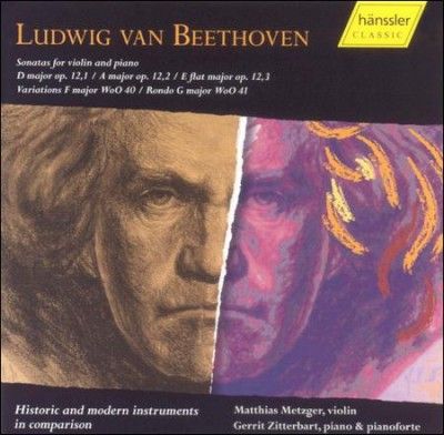 Matthias Metzger - Beethoven: Historic &amp; Modern Instrume (CD)