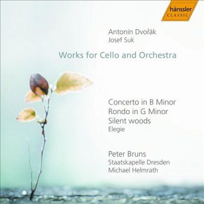 Various - Works For Cello And Orchestra (CD)