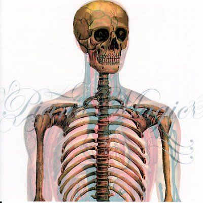Piano Magic - Opencast Heart (CD)