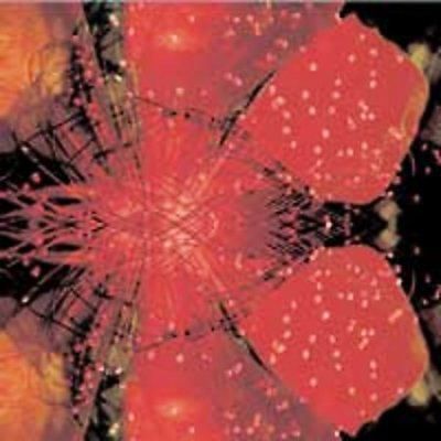 Kazuyuki Kishi Null - Kosmista Noisea (CD)