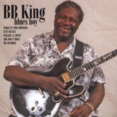 B. B. King - Blues Boy (CD)