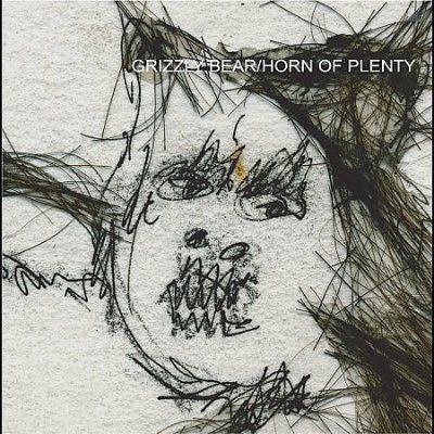 Grizzly Bear - Horn Of Plenty (CD)