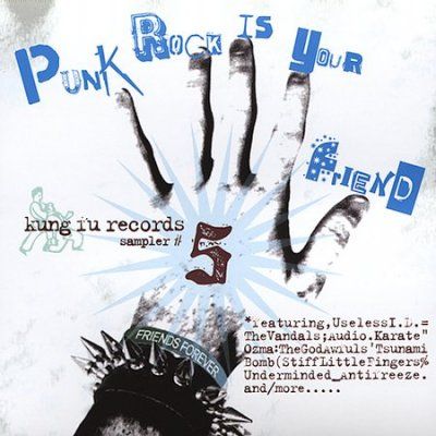 Various - Punk Rock Is Your Friend Vol 5 (CD)