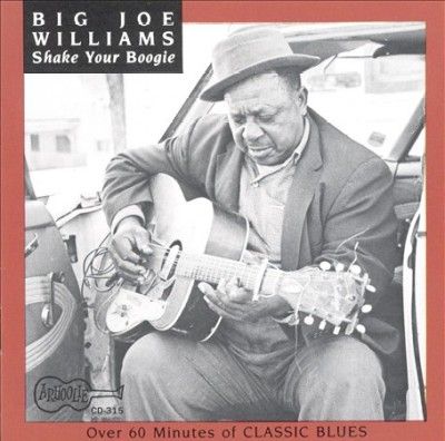 Big Joe Williams - Shake Your Boogie (CD)