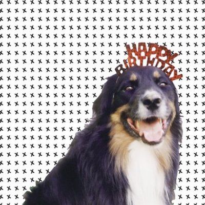 Various - Mollie's Mix (CD)