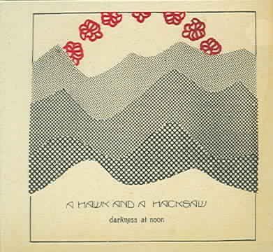Hawk And A Hacksaw - Darkness At Noon (CD)
