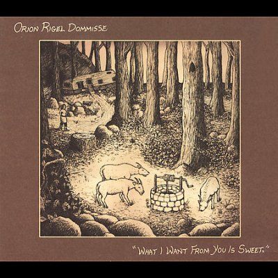 Orion Rigel Dommisse - What I Want From You Is Sweet (CD)