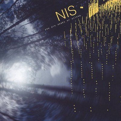 New Idea Society - You Are Awake Or Asleep (CD)
