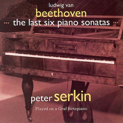 Peter Serkin - Beethoven: Last Six Piano Sons/rondos (CD)