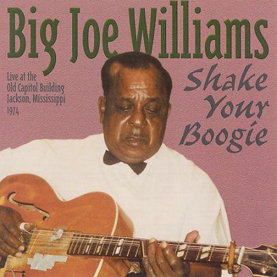 Big Joe Williams - Shake Your Boogie (CD)