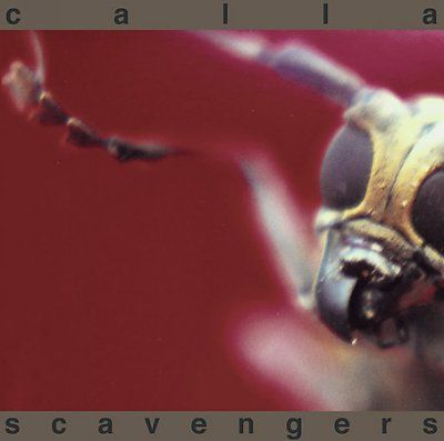 Calla - Scavengers (CD)