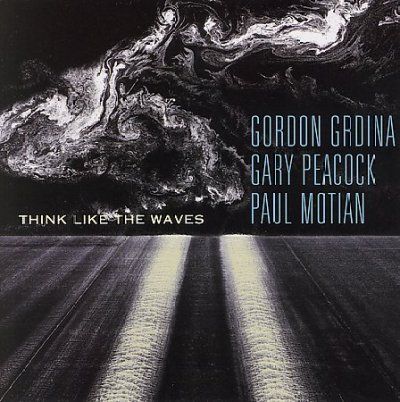 Gordon Grdina - Think Like The Waves (CD)