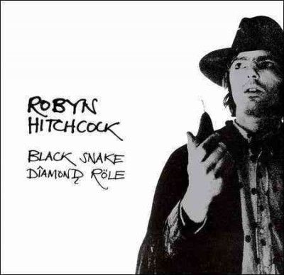 Robyn Hitchcock - Black Snake Diamond Role (CD)