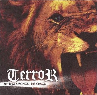 Terror - Rhythm Amongst The Chaos (CD)
