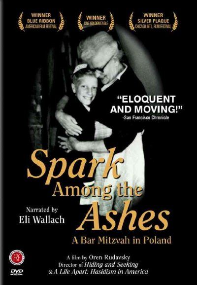 Spark Among the Ashes - (Region 1 Import DVD)