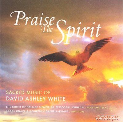 David Ashley White - Praise The Spirit: Sacred Music Of Dav (CD)