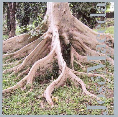Jose Maceda - Drone And Melody (CD)