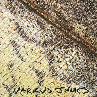 Markus James - Snakeskin Violin (CD)