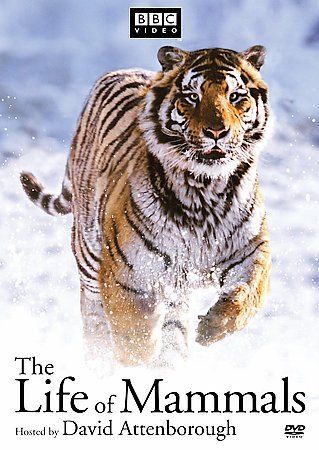 Life of Mammals - (Region 1 Import DVD)