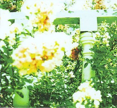 Unwed Sailor - Little Wars (CD)